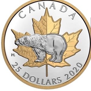 RCM 2018-2020 $25 Timeless Icons Coins